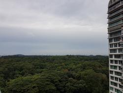 Eco Sanctuary (D23), Condominium #153584912